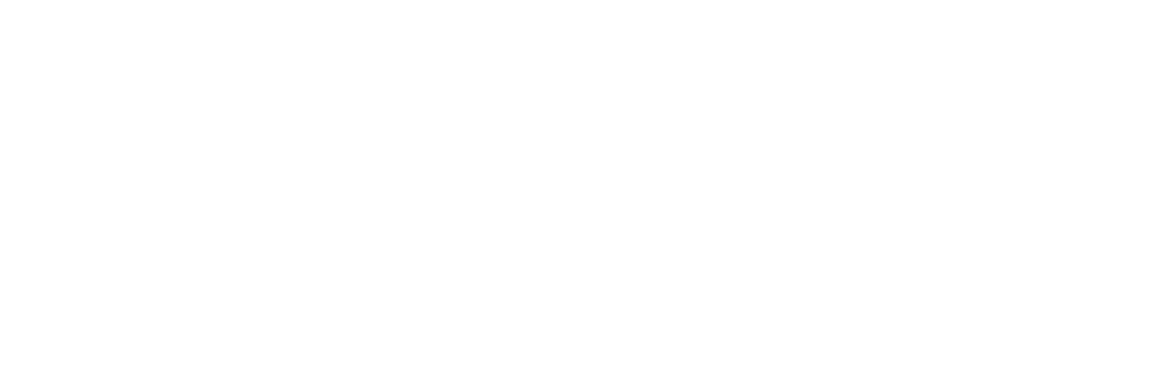 SIE Center