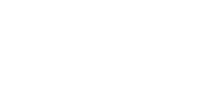SmartLink